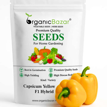 Capsicum Yellow (Pili Shimla Mirch) Seeds F1 Hybrid - (30 Seeds) High Yield | High Germination | Best for Home Gardens (पीली शिमला मिर्च के बीज)