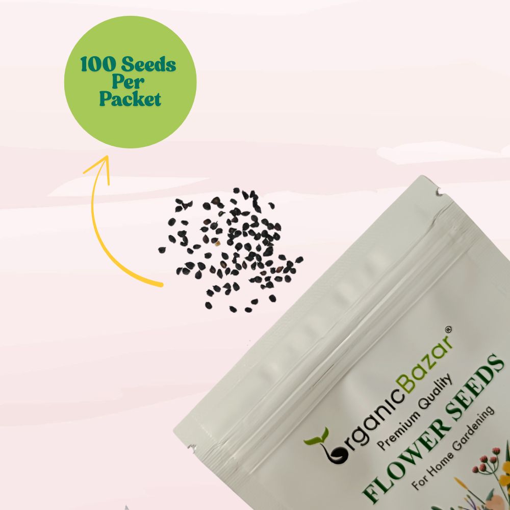 Carnation Mix Seeds (100 Seeds) High Germination/ Easy To grow/ Perfect for pots, balconies, or Terrace gardens