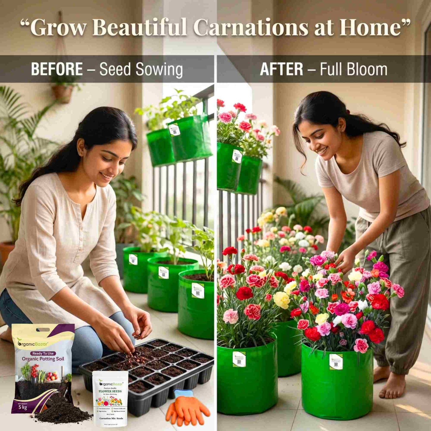Carnation Mix Seeds (100 Seeds) High Germination/ Easy To grow/ Perfect for pots, balconies, or Terrace gardens