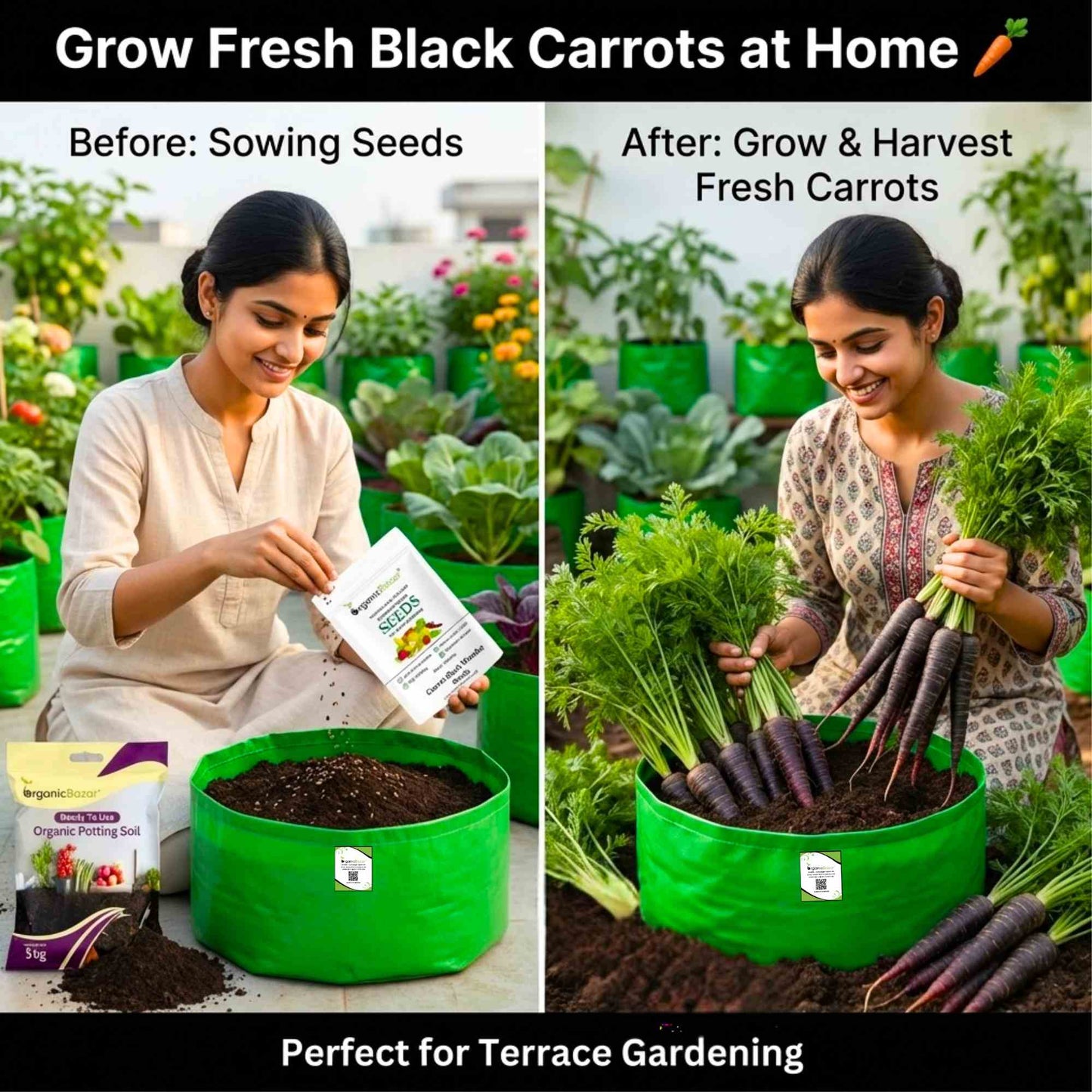 Carrot Black Wonder Seeds - 1000 Seeds (Black Gajar/ब्लैक गाजर के बीज)