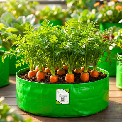 Carrot Early Nantes Seeds - 1000 Seeds (Gajar/ गाजर के बीज)