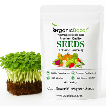 Cauliflower Microgreen Seeds (20g)
