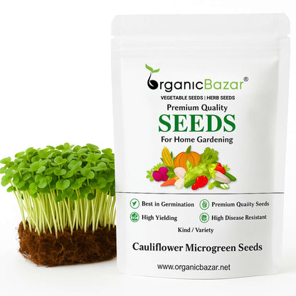 Cauliflower Microgreen Seeds (20g)