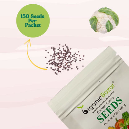 Cauliflower (Summer Queen) Seeds For Summer Season (150 Seeds)