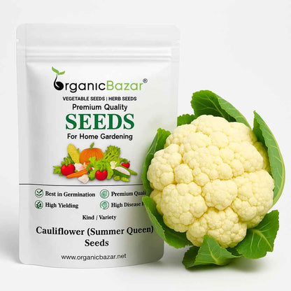 Cauliflower (Summer Queen) Seeds For Summer Season (150 Seeds)