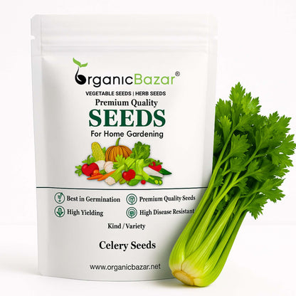 Celery Seeds - 1000 Seeds (Ajmod/अजमोद के बीज)
