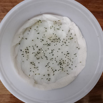 Celery Seeds - 1000 Seeds (Ajmod/अजमोद के बीज)