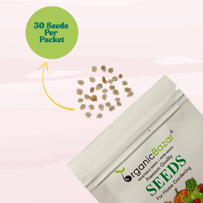 Cherry Tomato Cheramy Seeds - 30 Seeds (Cherry Tamatar/चेरी टमाटर के बीज) High Germination/ Easy to Grow/ Ideal for Terrace/Kitchen Gardening