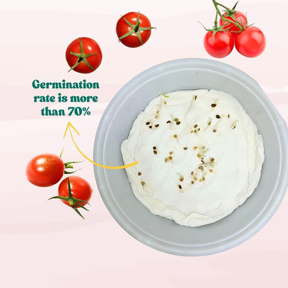 Cherry Tomato Seeds - 50 Seeds (Cherry Tamatar/चेरी टमाटर के बीज) High Germination, Juicy & Flavorful