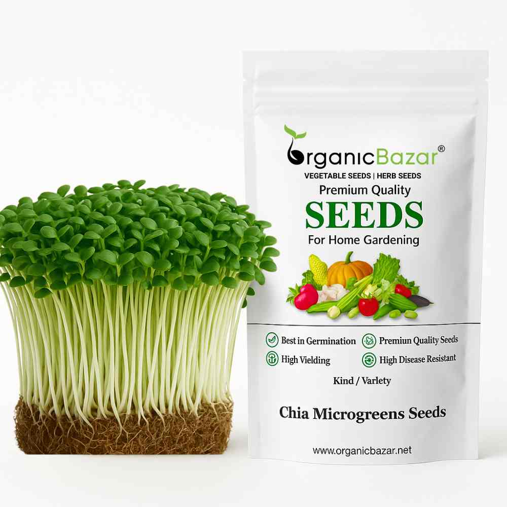 Chia Microgreens Seeds (20g)