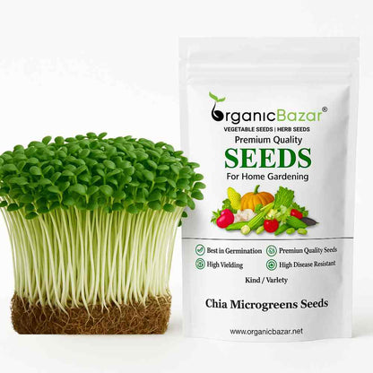 Chia Microgreens Seeds (20g)
