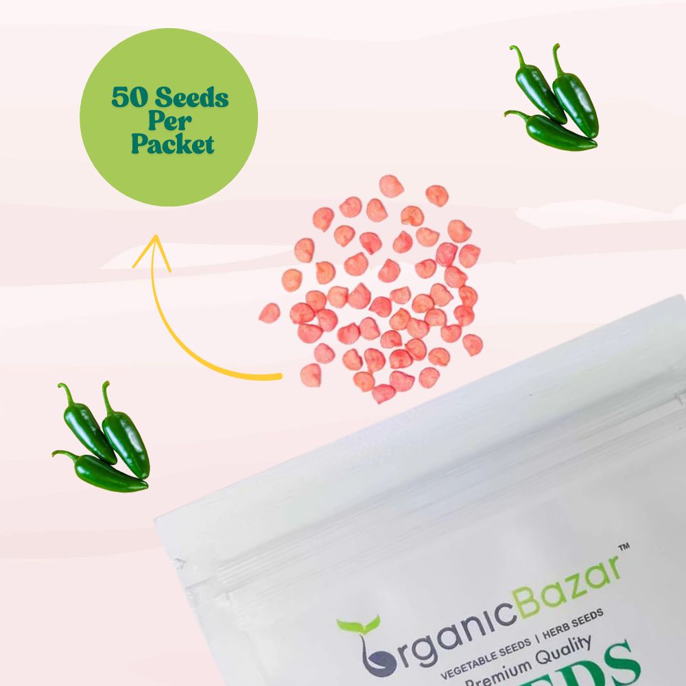 Chilli-Pepper Jalapeno M-Bullet Type Seeds - (50 Seeds) High Yield | High Germination | Best for Home Gardens (मिर्च के बीज)