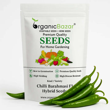 Chilli Barahmasi F1 Hybrid Seeds - (50 Seeds) High Yield | High Germination | Best for Home Gardens (मिर्च के बीज) (Mirch/ मिर्च के बीज)