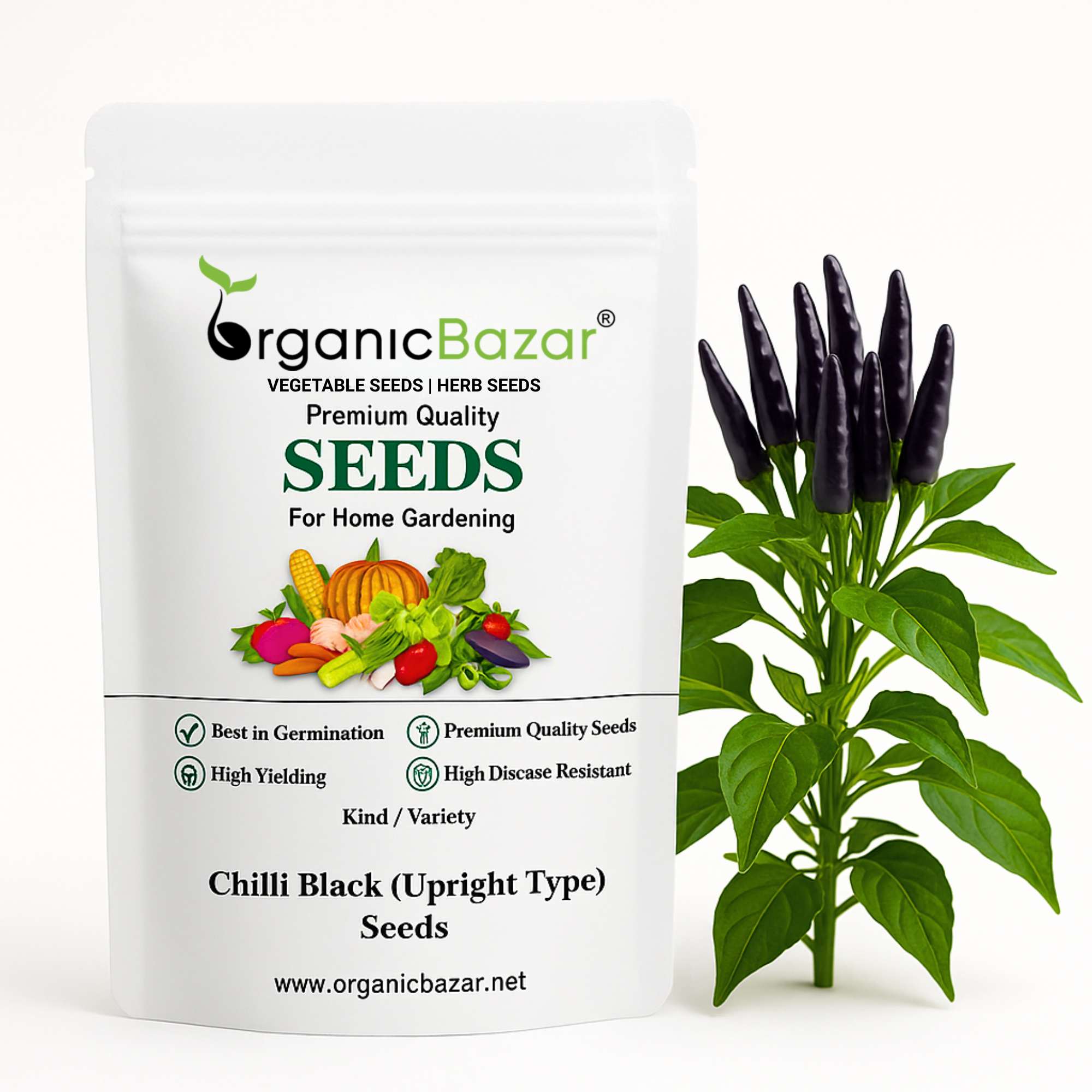 Chilli Black (Upright Type) Seeds (30 Seeds) 🌶️ High Spicy | Exotic | Easy to Grow | Great Yield (मिर्च के बीज) (Mirch/ मिर्च के बीज)