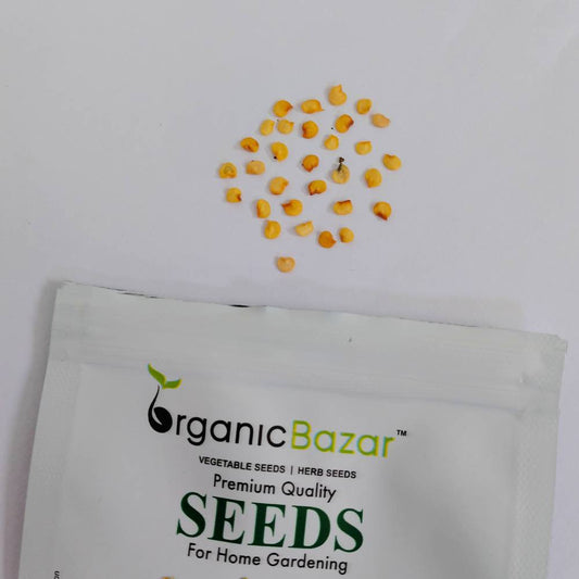 Chilli Jwala (Hari Mirch) Hybrid Seeds (हरी मिर्च के बीज)