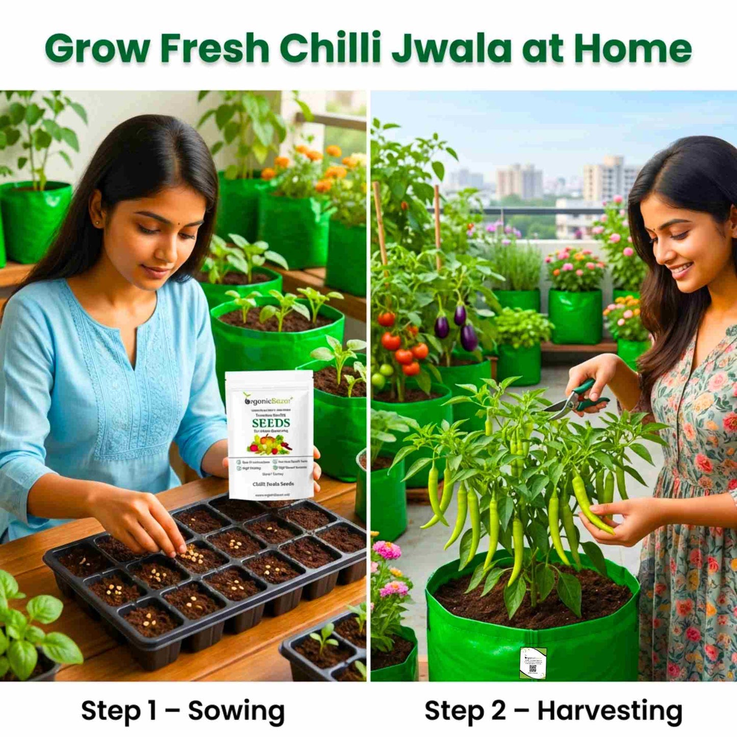 Chilli Jwala (Hari Mirch) Seeds - (50 Seeds) High Yield | High Germination | Best for Home Gardens (मिर्च के बीज) (हरी मिर्च के बीज)