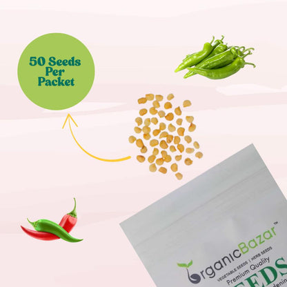 Chilli (Mirch) Seeds - (50 Seeds) High Yield | High Germination | Best for Home Gardens (मिर्च के बीज)