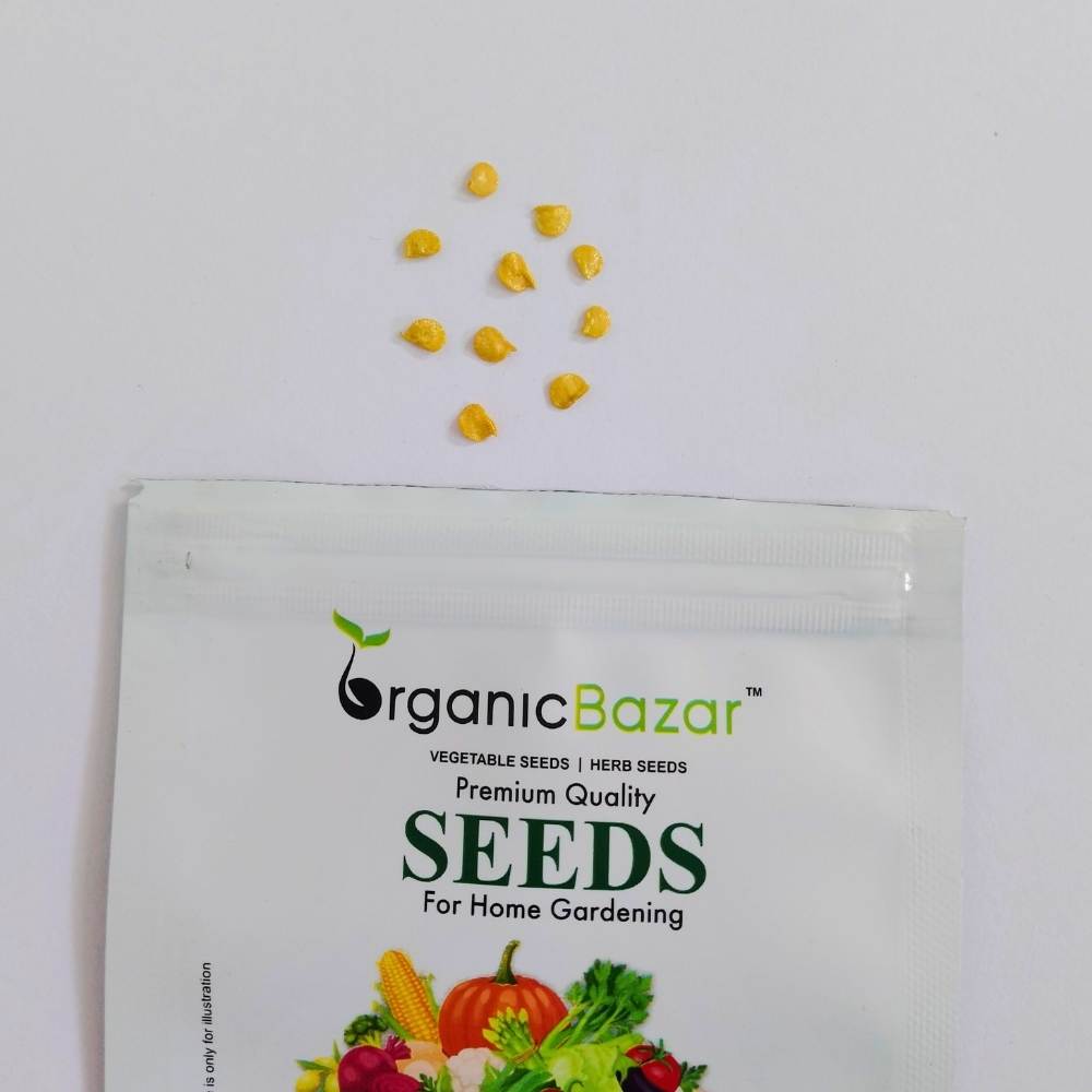 Chilli Yellowish Light Green (Thick wall fruits) F1 Hybrid Seeds - 10 Seeds (Mirch/ मिर्च के बीज)