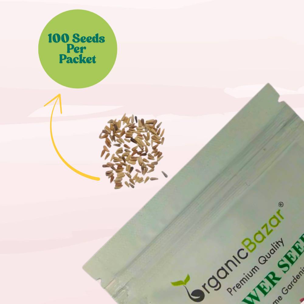 China Aster Mixed Flower Seeds (100 Seeds) High Germination/Easy To grow/ Perfect for pots, balconies, or Terrace gardens