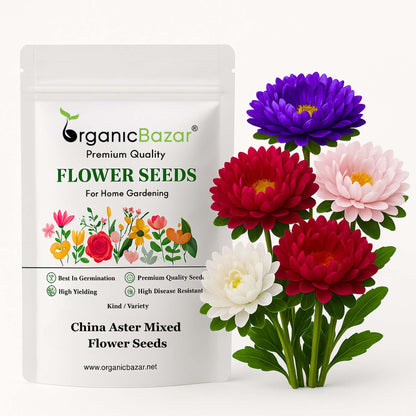 China Aster Mixed Flower Seeds (100 Seeds) High Germination/Easy To grow/ Perfect for pots, balconies, or Terrace gardens