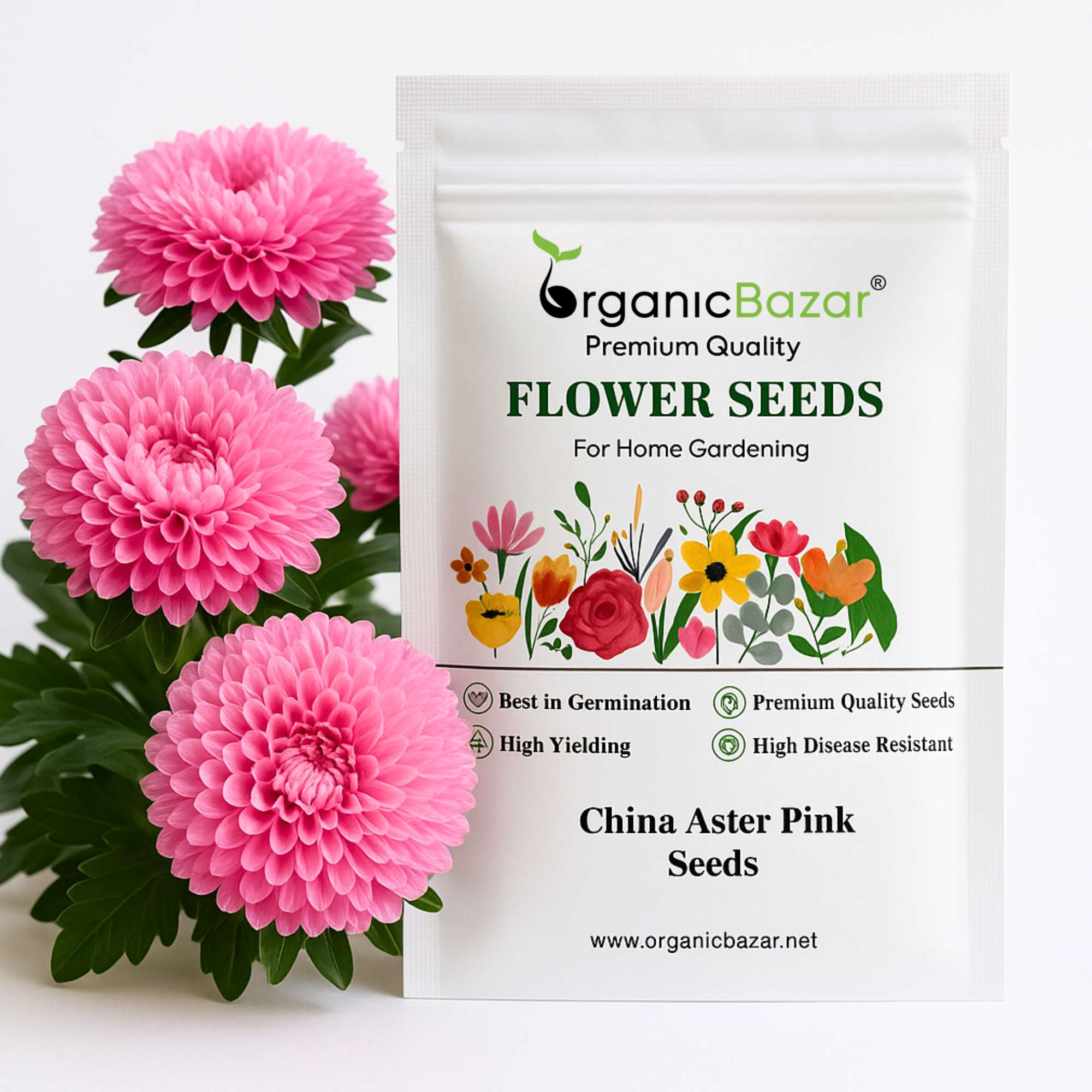 China Aster Pink Seeds (100 Seeds) High Germination/Easy To grow/ Perfect for pots, balconies, or Terrace gardens