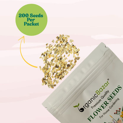 Chrysanthemum Carinatum Mix Seeds - 200 Seeds (Guldaudi/ Chandra Mallika/गुलदाउदी के बीज) High Germination/ Easy To grow/ Perfect for pots, balconies, or Terrace gardens