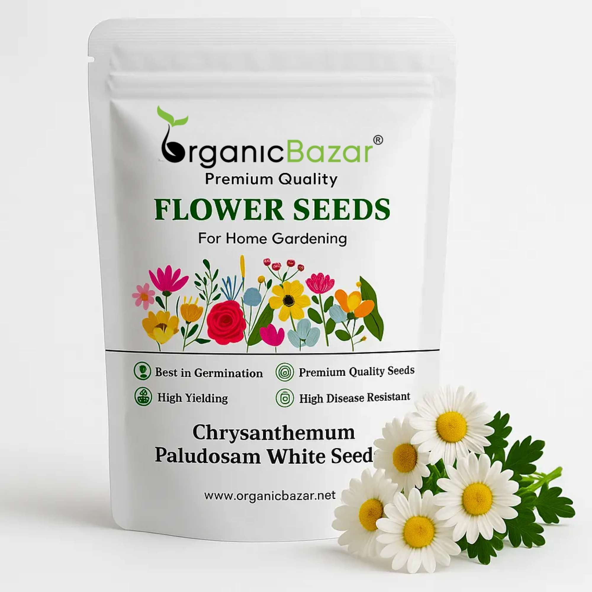 Chrysanthemum Paludosam White Seeds - 300 Seeds (Guldaudi/Chandra Mallika/गुलदाउदी के बीज) High Germination/ Easy To grow/ Perfect for pots, balconies, or Terrace gardens