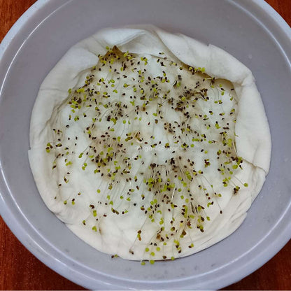 Clarkia Elegans Double Mix Seeds (200 Seeds) High Germination/ Easy To grow/ Perfect for pots, balconies, or Terrace gardens