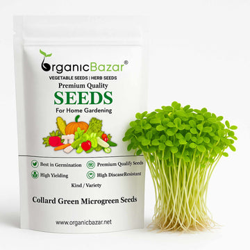 Collard Green Microgreen Seeds (25g)