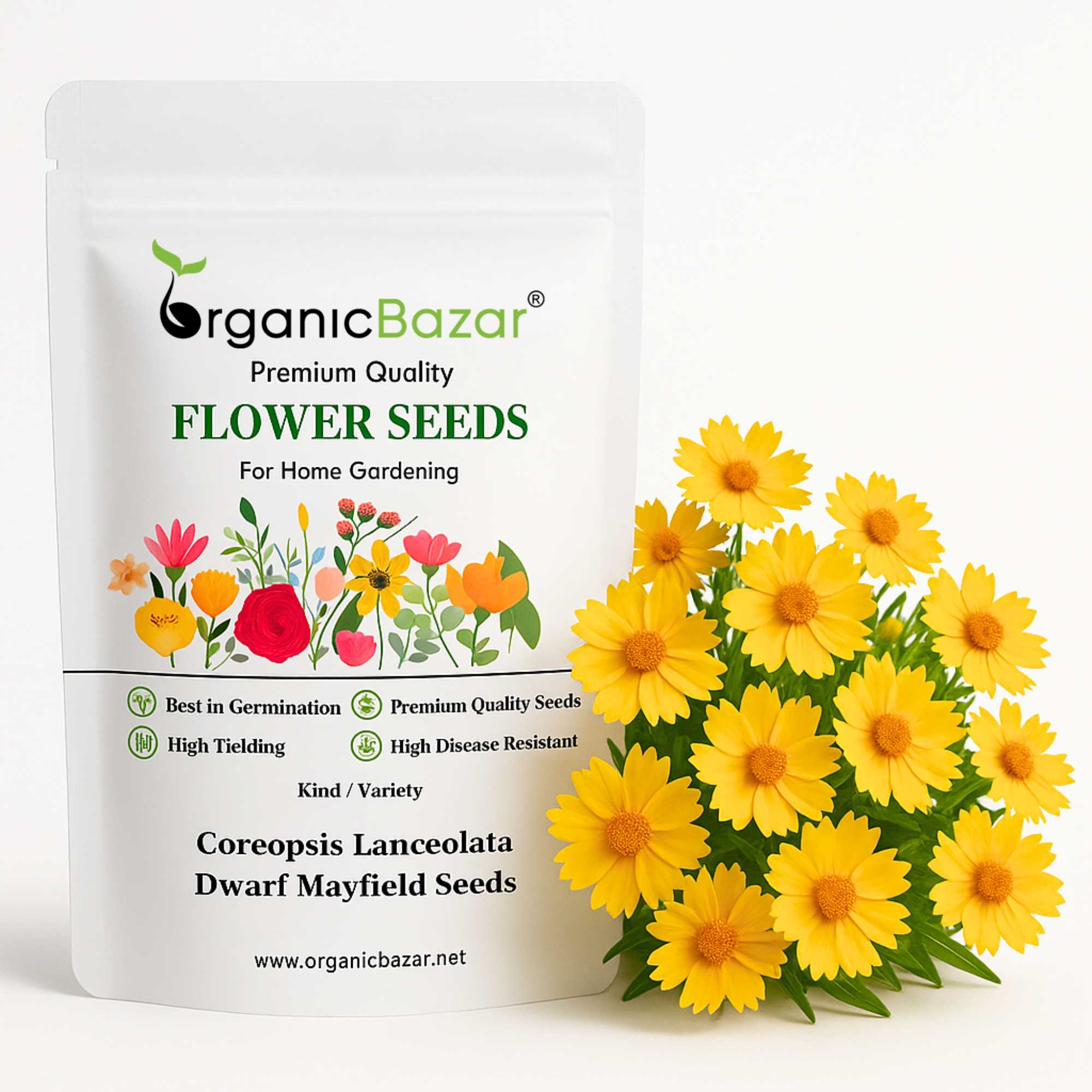 Coreopsis Lanceolata Dwarf Mayfield Seeds (200 Seeds)