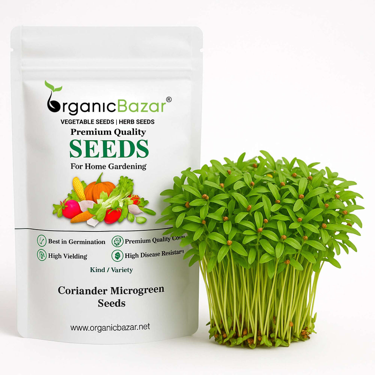 Buy Best Quality Coriander Microgreen Seeds Online - Organic Bazar ...