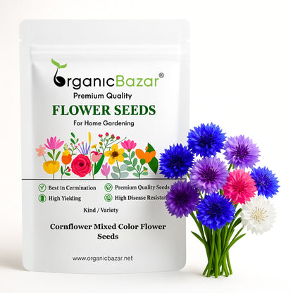 Cornflower Mixed Color Flower Seeds (100 Seeds)