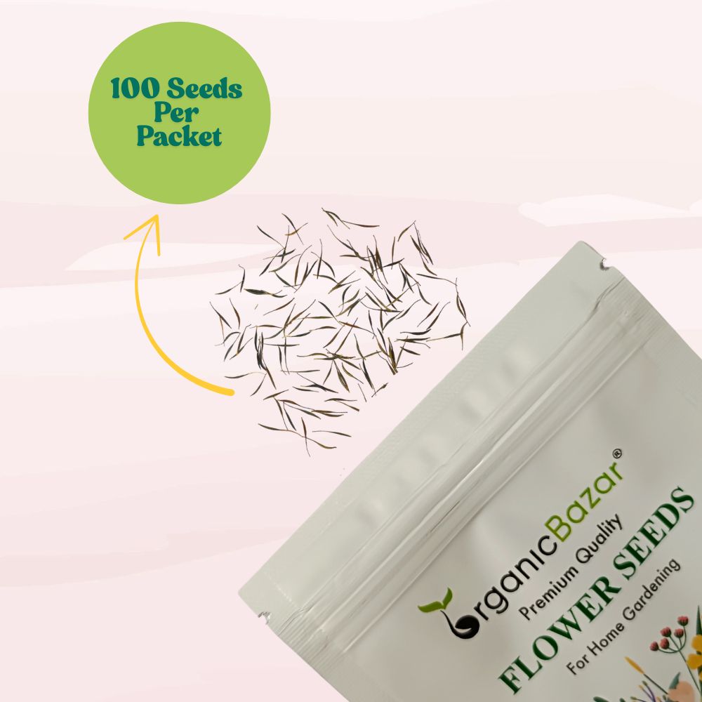 Cosmos Bright light Mix Seeds (100 Seeds) Easy To Grow, High Germination,Perfect for pots, balconies, or Terrace gardens