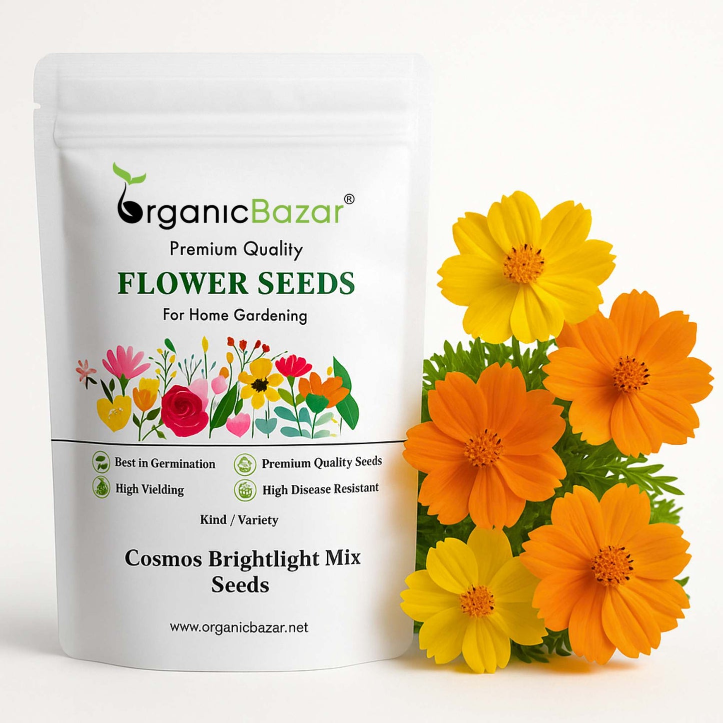 Cosmos Bright light Mix Seeds (100 Seeds) Easy To Grow, High Germination,Perfect for pots, balconies, or Terrace gardens