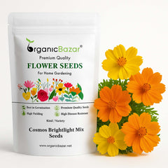 Cosmos Bright light Mix Seeds (100 Seeds) Easy To Grow, High Germination,Perfect for pots, balconies, or Terrace gardens