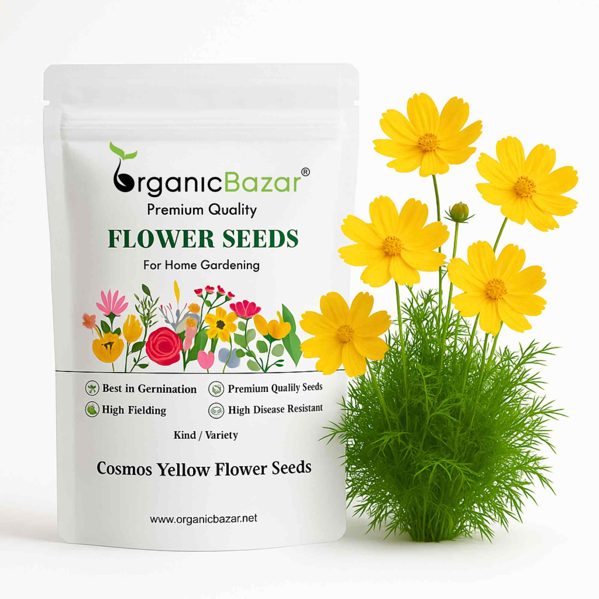 Cosmos Yellow Flower Seeds (100 Seeds)