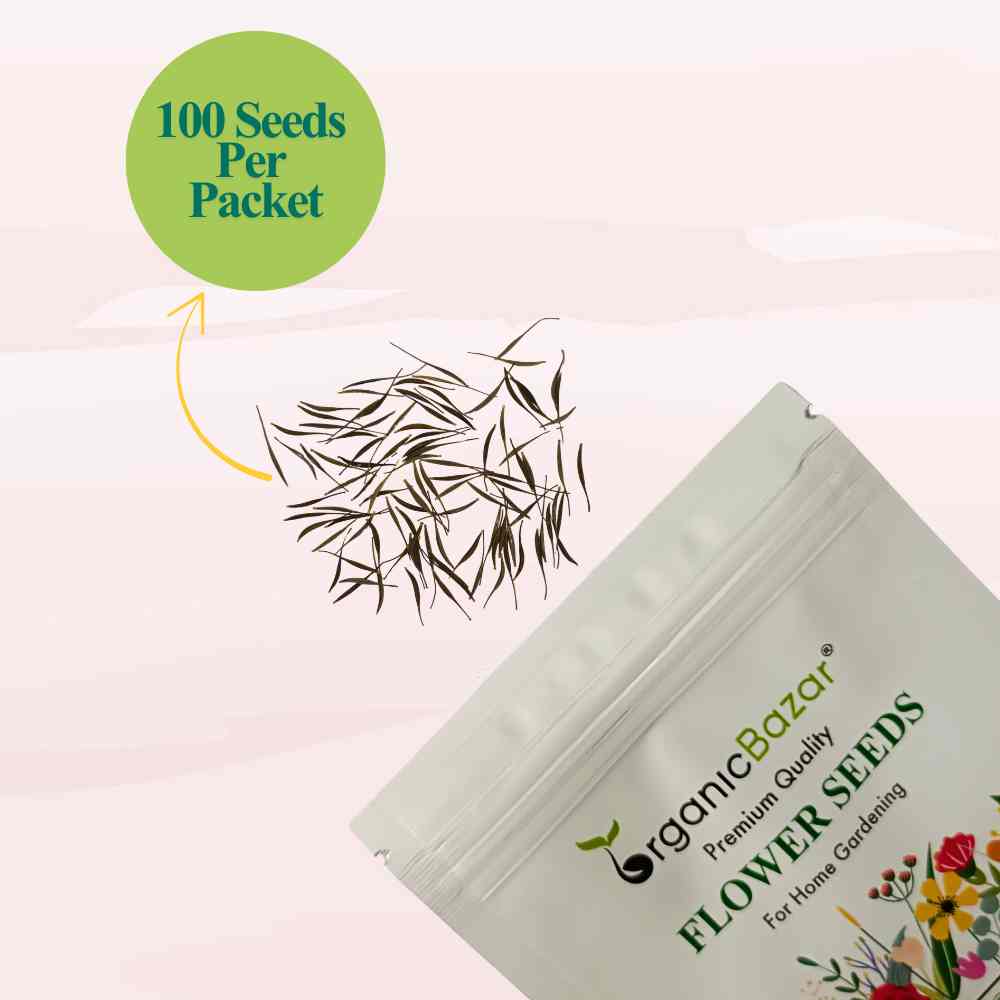 Cosmos Yellow Flower Seeds (100 Seeds)