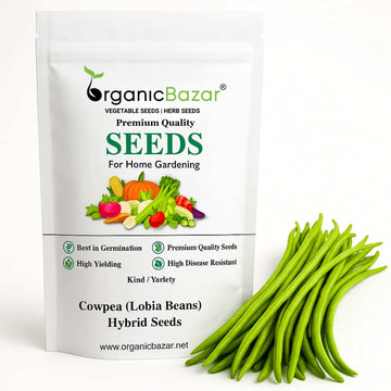 Cowpea (Lobia Beans) Hybrid Seeds - 50 Seeds  (Barbati/ लोबिया/बरबटी के बीज) High Germination, Easy to Grow, High Yield Seeds For Terrace Gardening