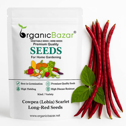 Cowpea (Lobia) Scarlet Long-Red Seeds - 30 Seeds (Red Barbati Lobia Beans/ लाल लोबिया/बरबटी के बीज) High Germination, Easy to Grow, High Yield Seeds For Terrace Gardening