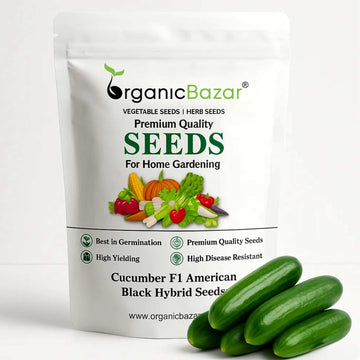 Cucumber F1 American Black Hybrid Seeds - 20 Seeds (Kakdi/ककड़ी/खीरा के बीज)  High Germination, Easy to Grow, High Yield Seeds For Terrace Gardening