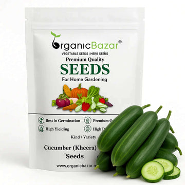 Cucumber (Kheera) Seeds - 20 Seeds (Kakdi/ककड़ी/खीरा के बीज) - High Germination, Easy to Grow, High Yield Seeds For Terrace Gardening