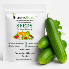 Cucumber (Kheera) Seeds - 20 Seeds (Kakdi/ककड़ी/खीरा के बीज) - High Germination, Easy to Grow, High Yield Seeds For Terrace Gardening