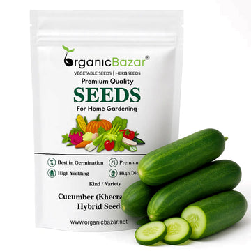Cucumber (Kheera) Hybrid Seeds - 20 Seeds (Kakdi/ककड़ी/खीरा के बीज) - High Germination, Easy to Grow, High Yield Seeds For Terrace Gardening