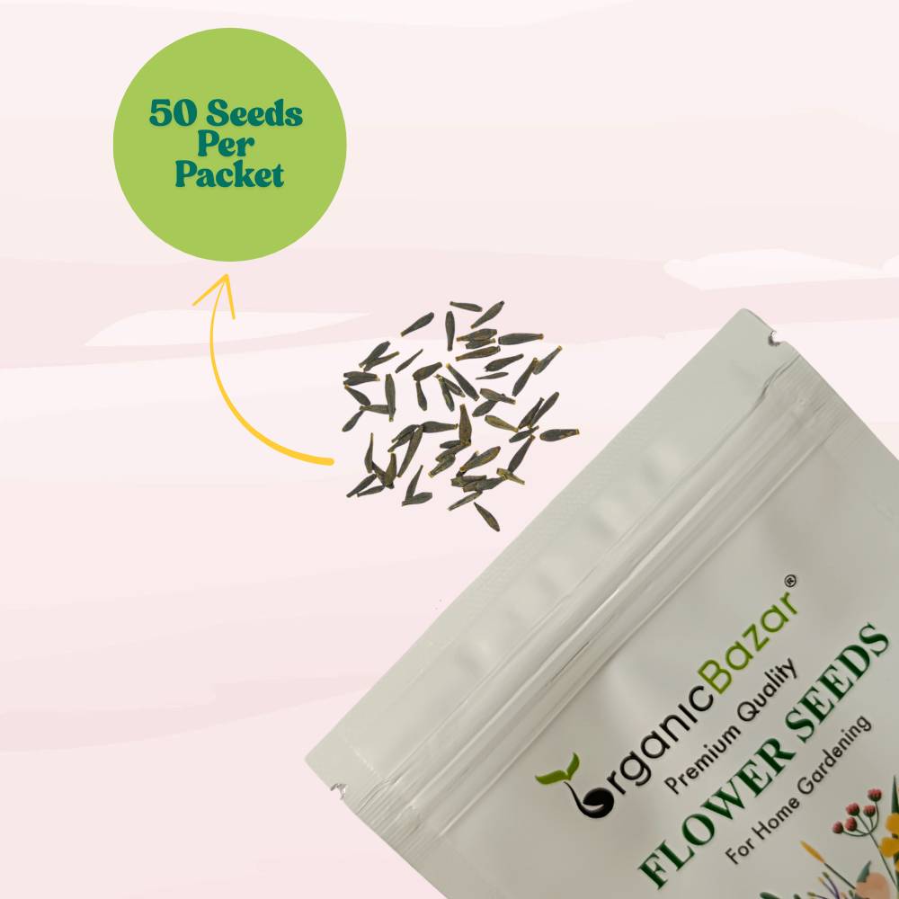 Dahlia Unwins Mix Seeds (50 Seeds) Easy To Grow, High Germination, Perfect for pots, balconies, or Terrace gardens