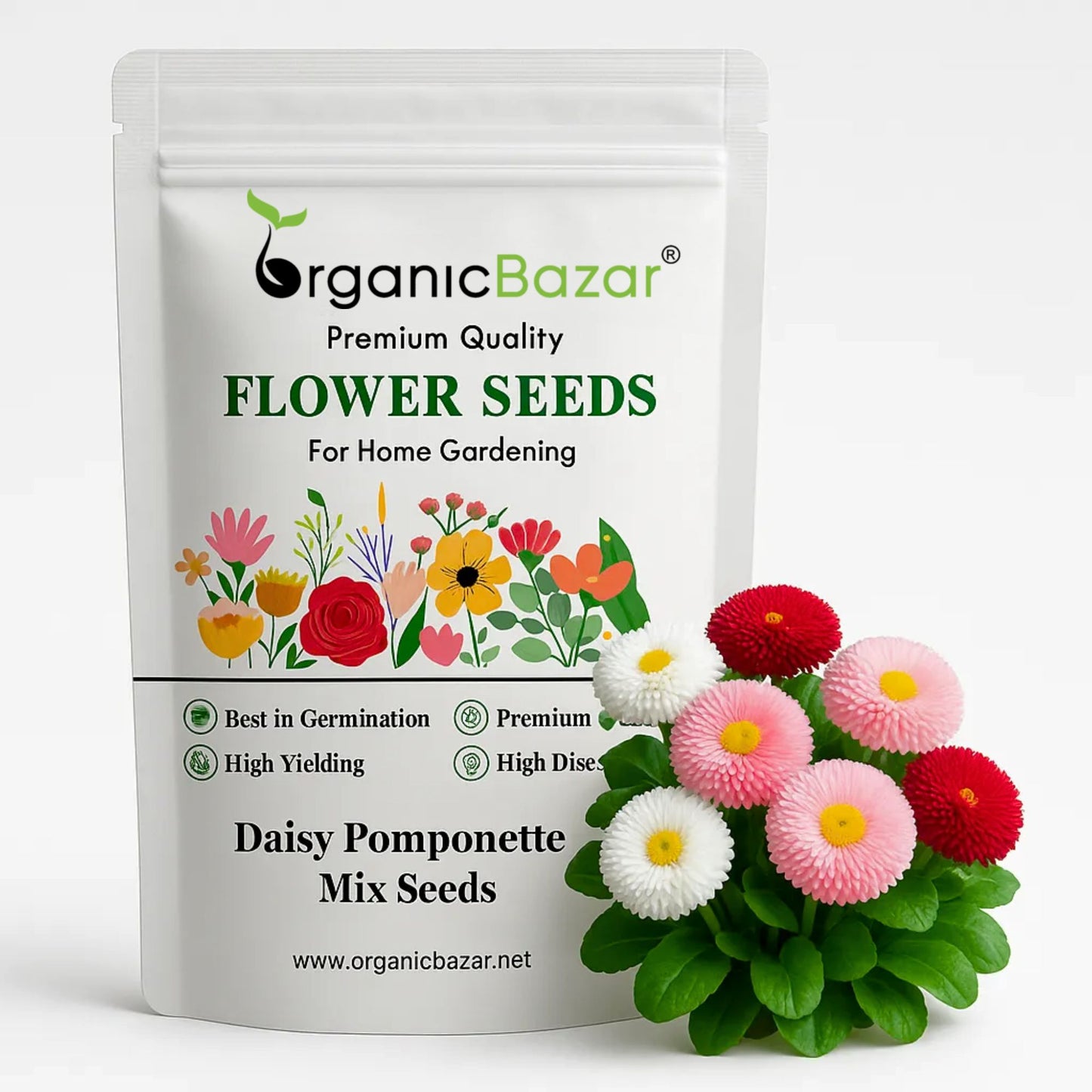 Daisy Pomponette Mix Seeds - 300 Seeds (Gulbahar/गुलबहार का बीज) Easy To Grow, High Germination, Perfect for pots, balconies, or Terrace gardens