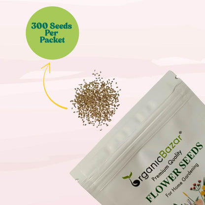 Daisy Pomponette Mix Seeds - 300 Seeds (Gulbahar/गुलबहार का बीज) Easy To Grow, High Germination, Perfect for pots, balconies, or Terrace gardens