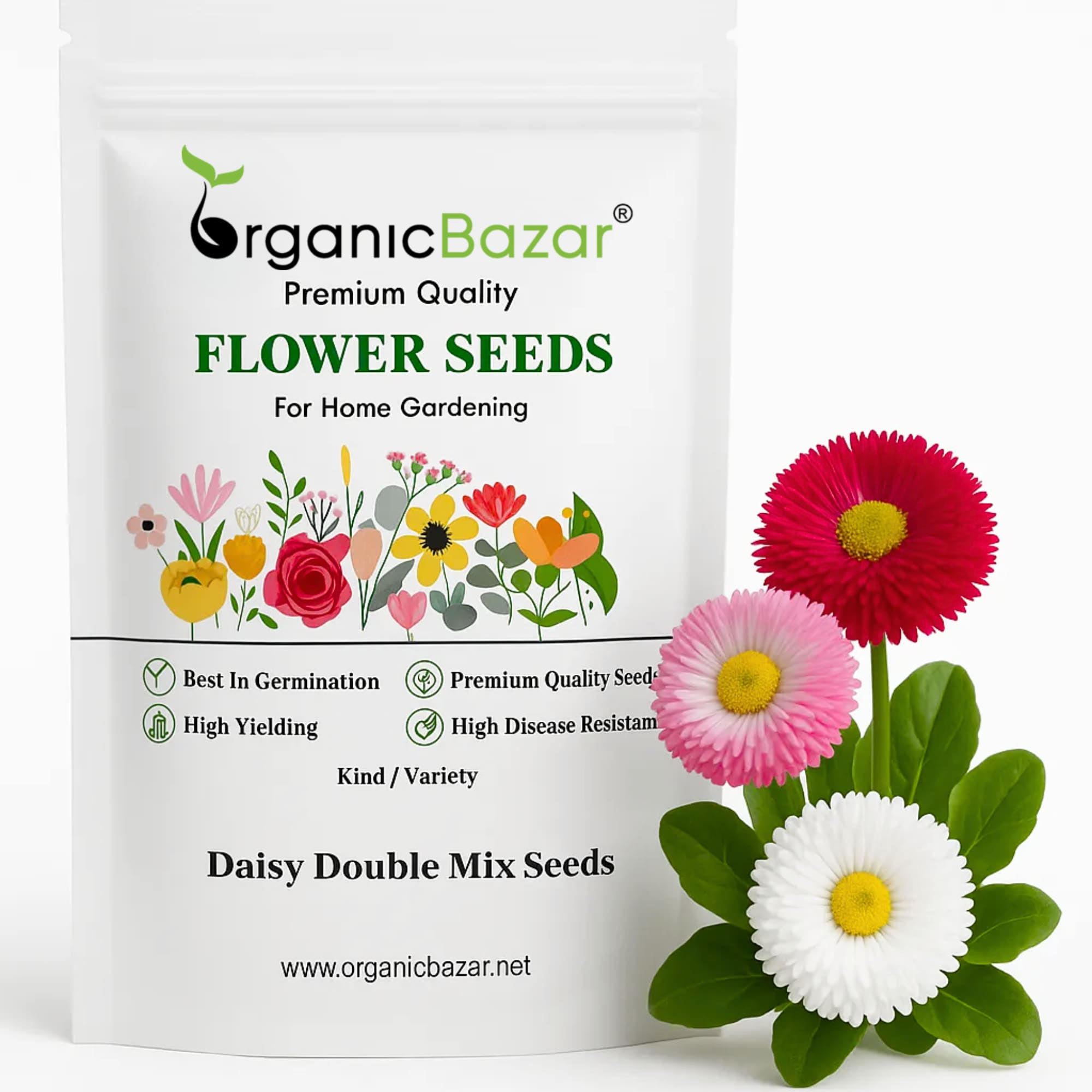 Daisy Double Mix Seeds - 300 Seeds (Gulbahar/गुलबहार का बीज) Easy To Grow, High Germination, Perfect for pots, balconies, or Terrace gardens