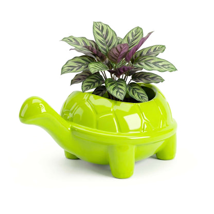 Tortoise Plastic Pot, Unique and Charming Decorative Planters, Ideal for Indoor and Outdoor Gardening or Gifting Purpose (Pack of 1, Lime  Green)