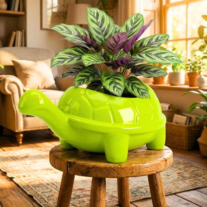 Tortoise Plastic Pot, Unique and Charming Decorative Planters, Ideal for Indoor and Outdoor Gardening or Gifting Purpose (Pack of 1, Lime  Green)