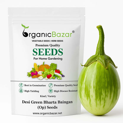 Desi Green Bharta Baingan (Op) Seeds - (20 Seeds) High Germination/ High Yield / Ideal for Terrace/Kitchen Gardening (Brinjal/Eggplant/बैंगन के बीज)